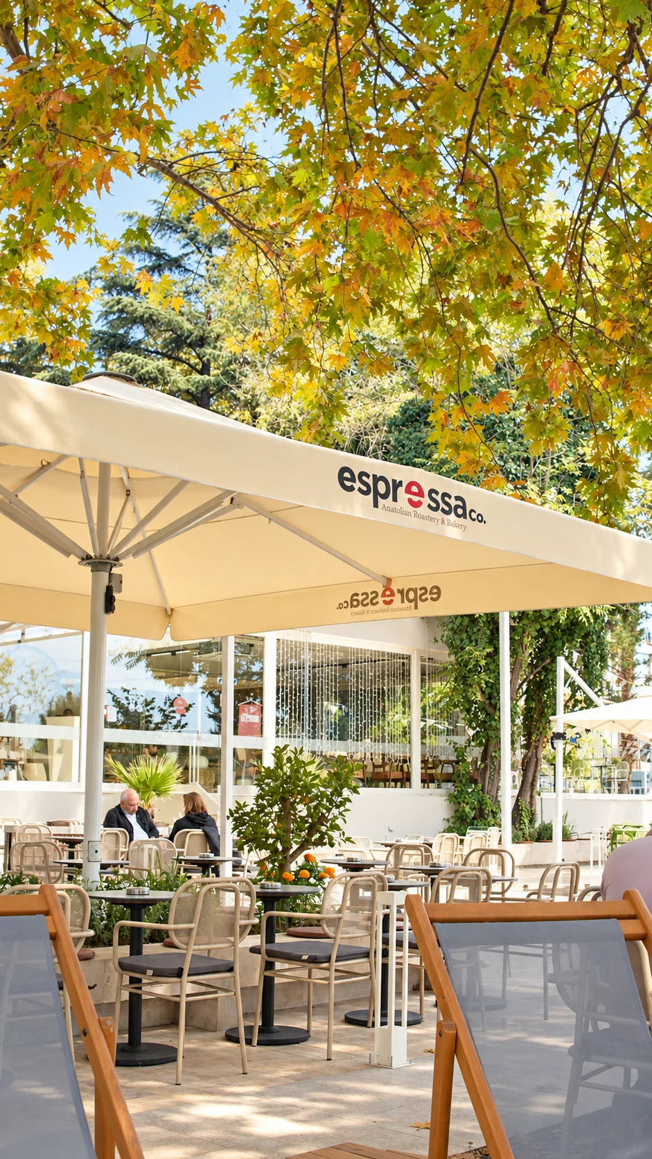 Espressa şemsiyesi ve yaprak gölgeleri